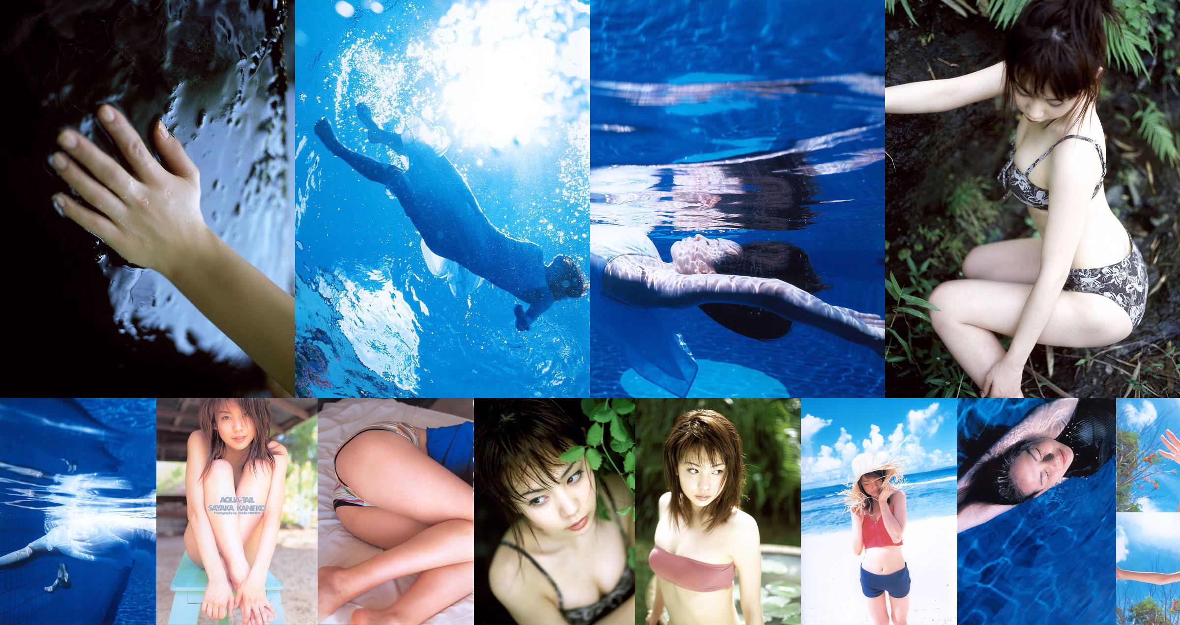 金子さやか/金社やか「AQUA-TAIL」[PB] No.a4f83e ページ1