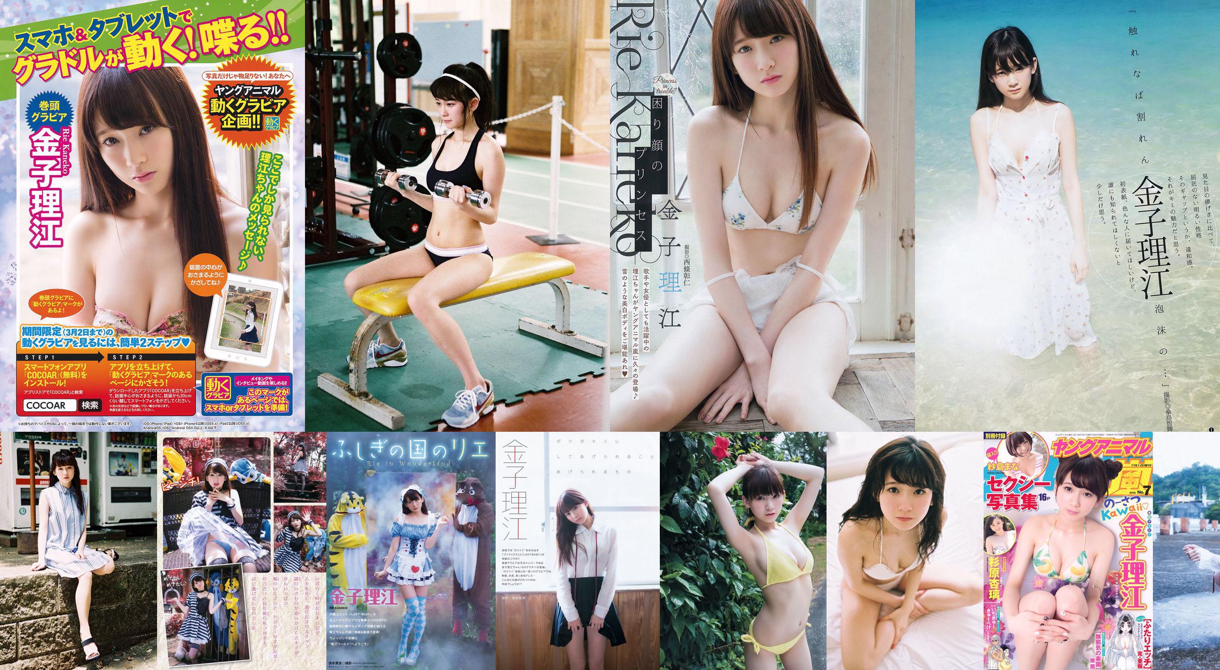 Rie Kaneko "Opladen voltooid" [WPB-net] Extra EX471 No.a1627d Pagina 1