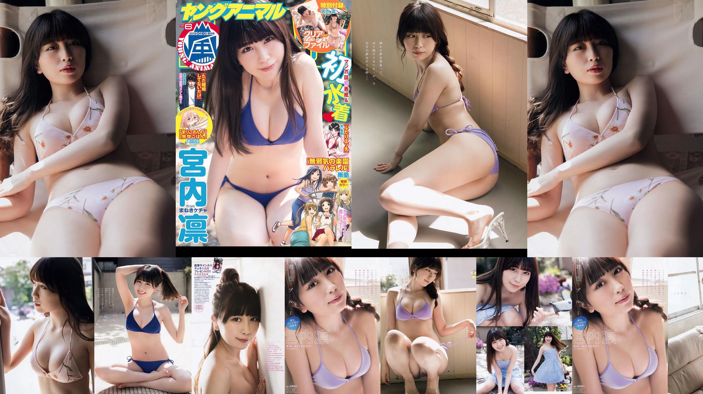 Rin Miyauchi [Young Animal Arashi] Arashi Special Issue 2018 No.06 Photo Magazine No.72c4fe Page 1