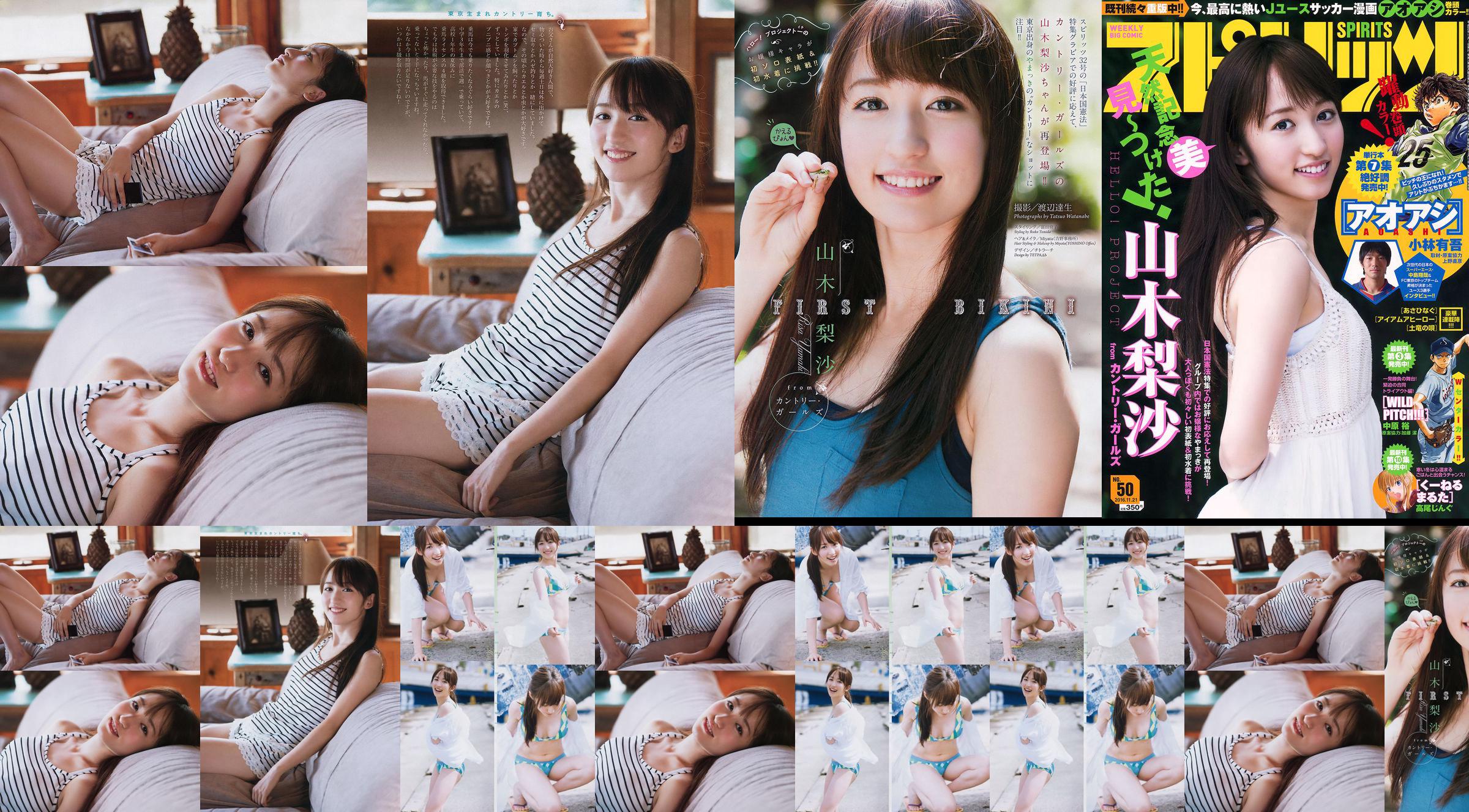 [Grands esprits de la bande dessinée hebdomadaire] Yamagi Risa 2016 No.50 Photo Magazine No.80f051 Page 1