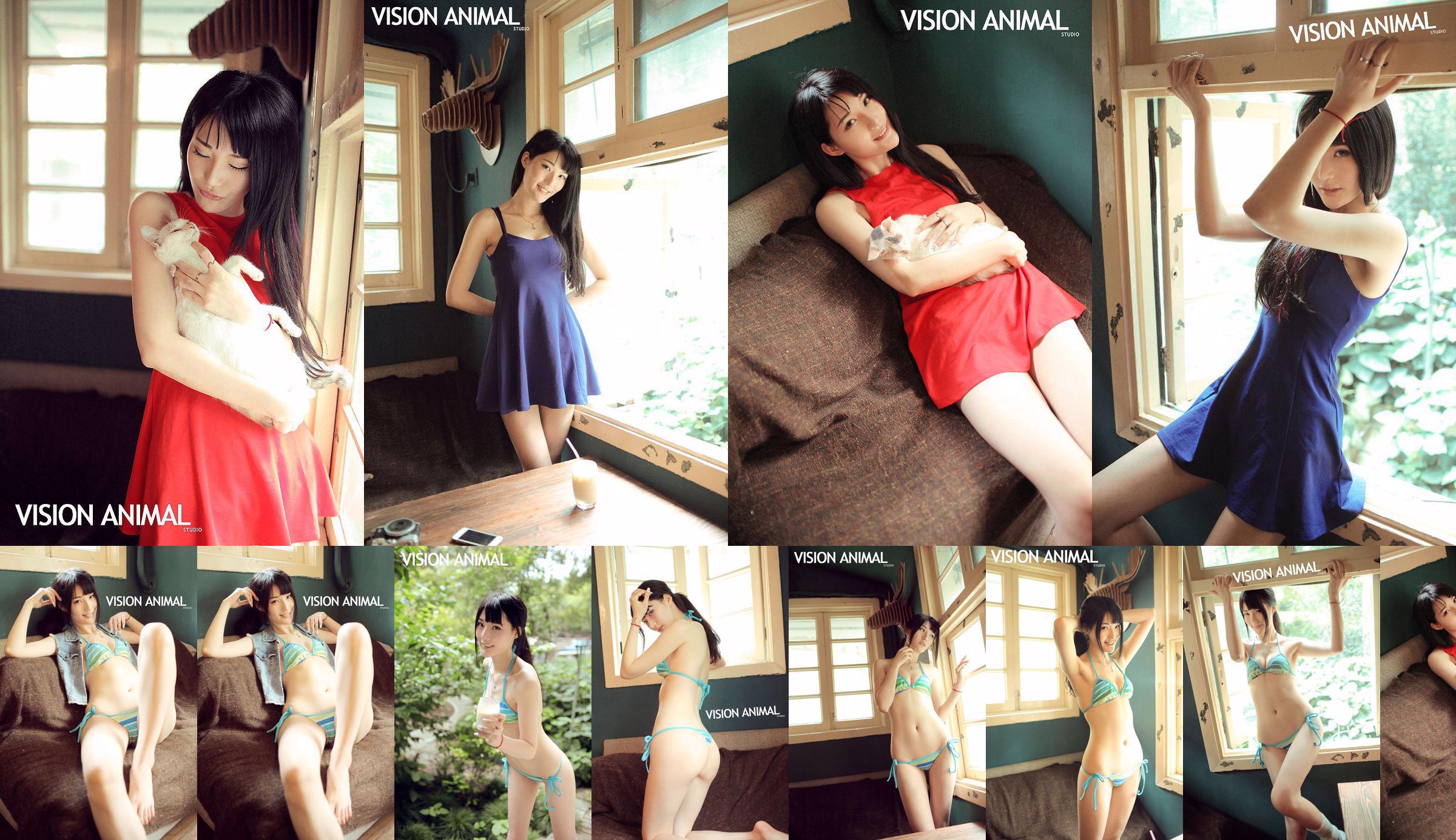 Programa Visual Animal Works de Shen Dabao JinxShen [TGOD Push Goddess] No.109e66 Página 1